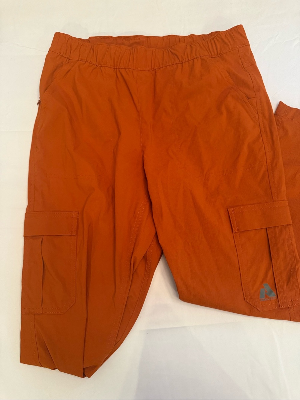 Eddie Bauer Rust Orange First Ascent Pants